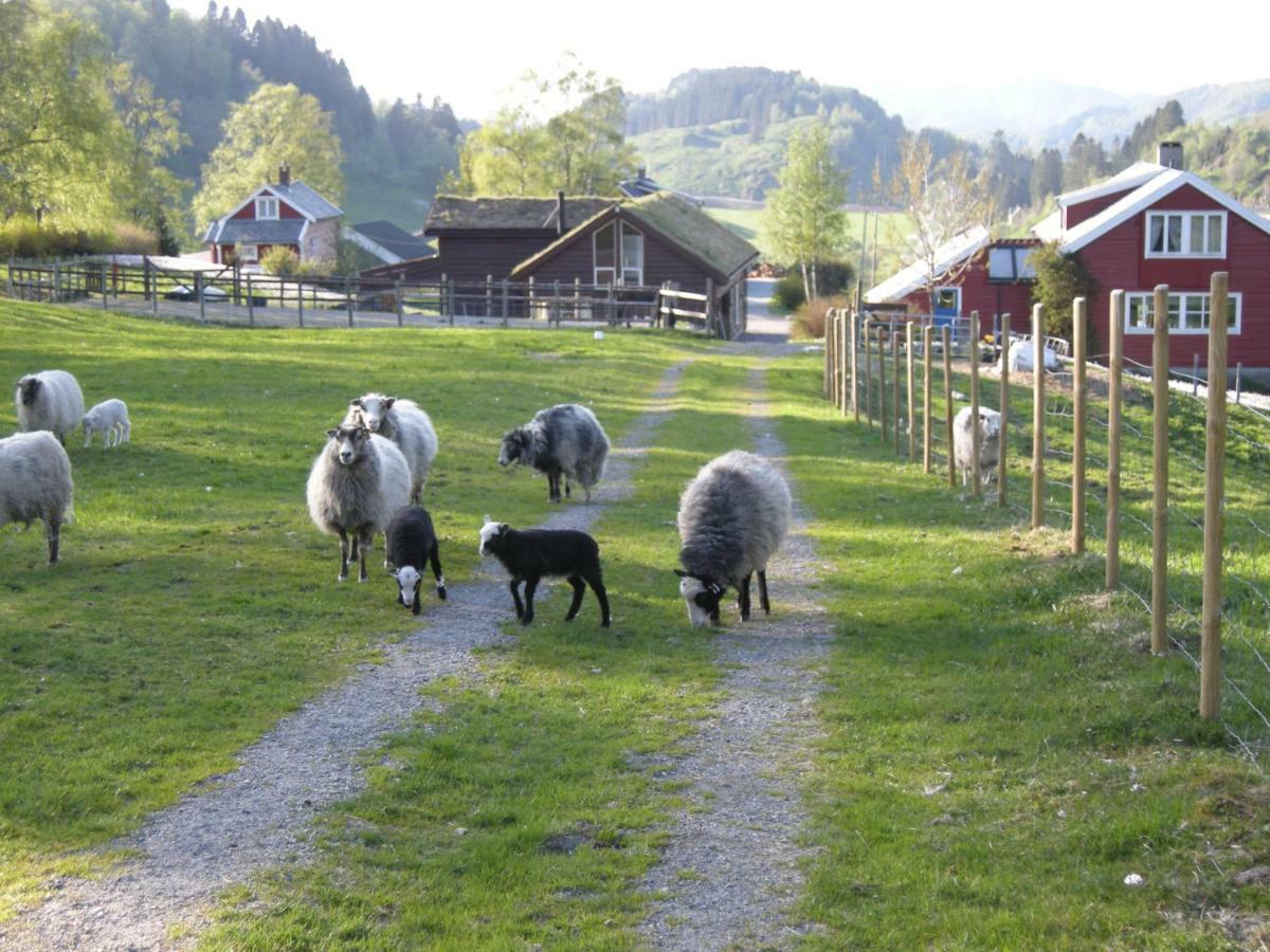 Skjerping Gard Bauernhof